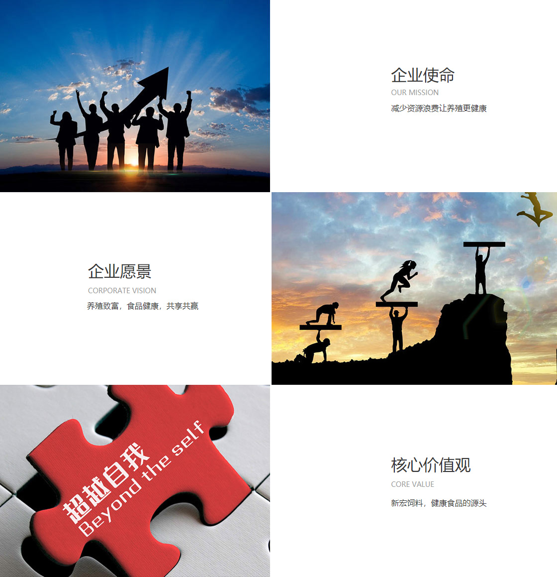 365体育博彩官网(图1)